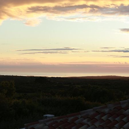 Villa Carolus-Luxurious Istrian Villa Barat  Eksteriør billede